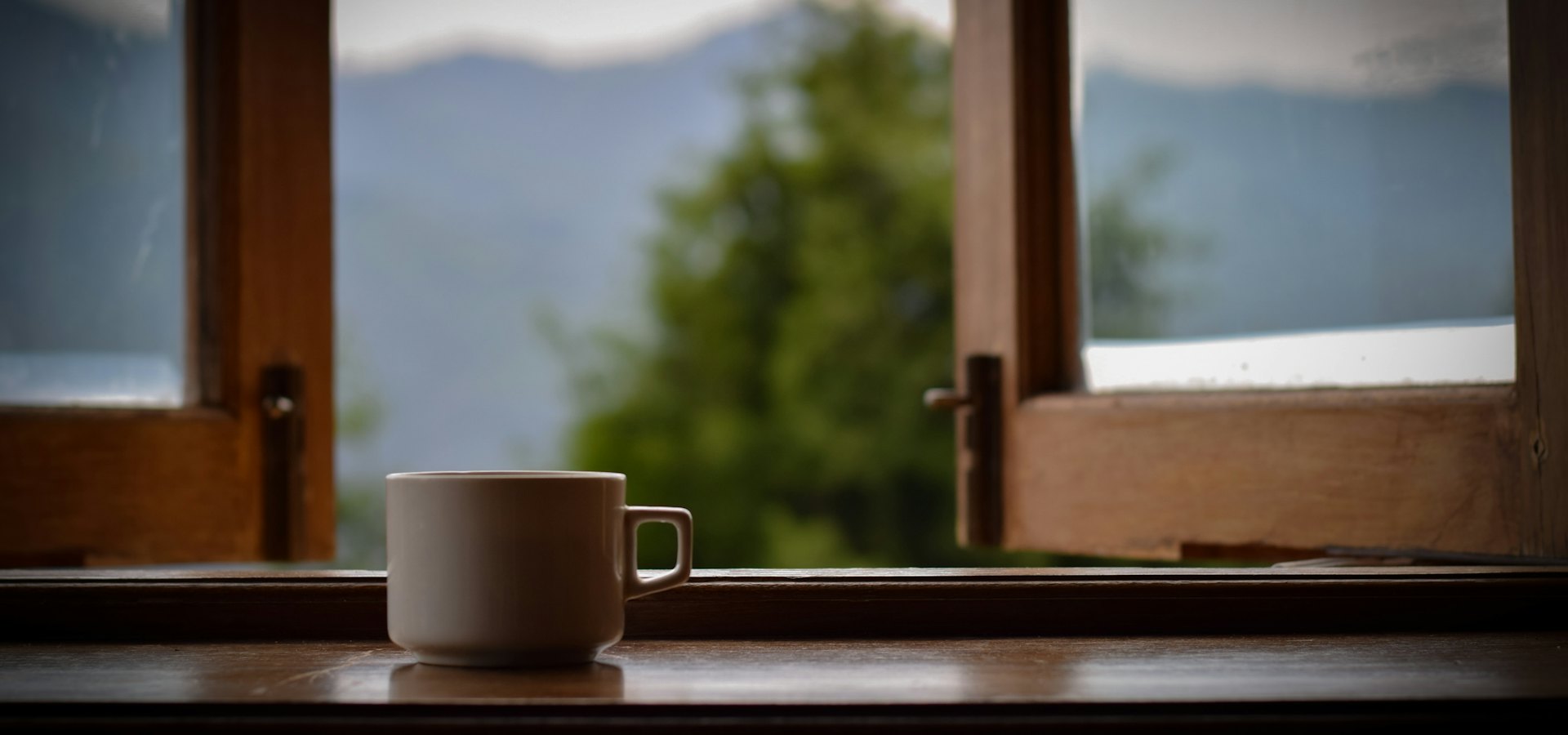 Tasse am Fenster mit Blick ins Grüne